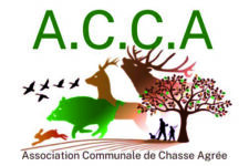 Photo de A.I.C.A.F Photo de A.I.C.A.F