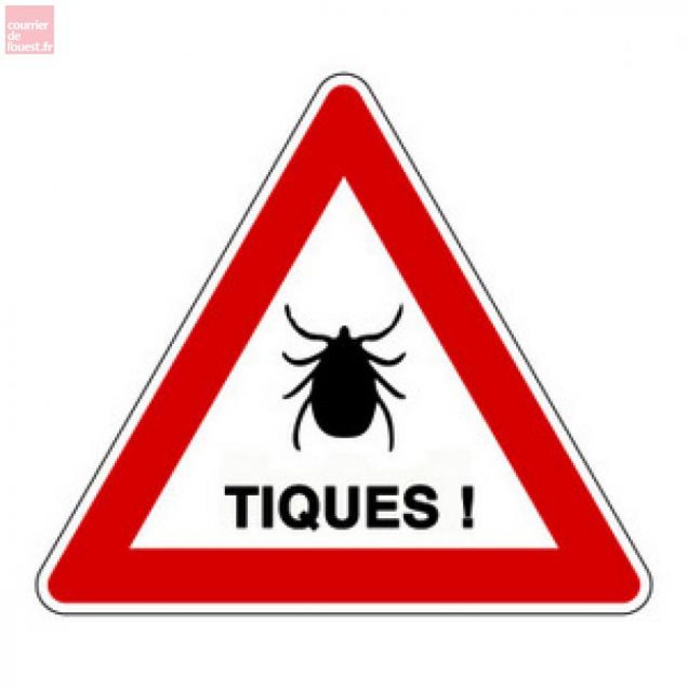 ATTENTION AUX TIQUES !
