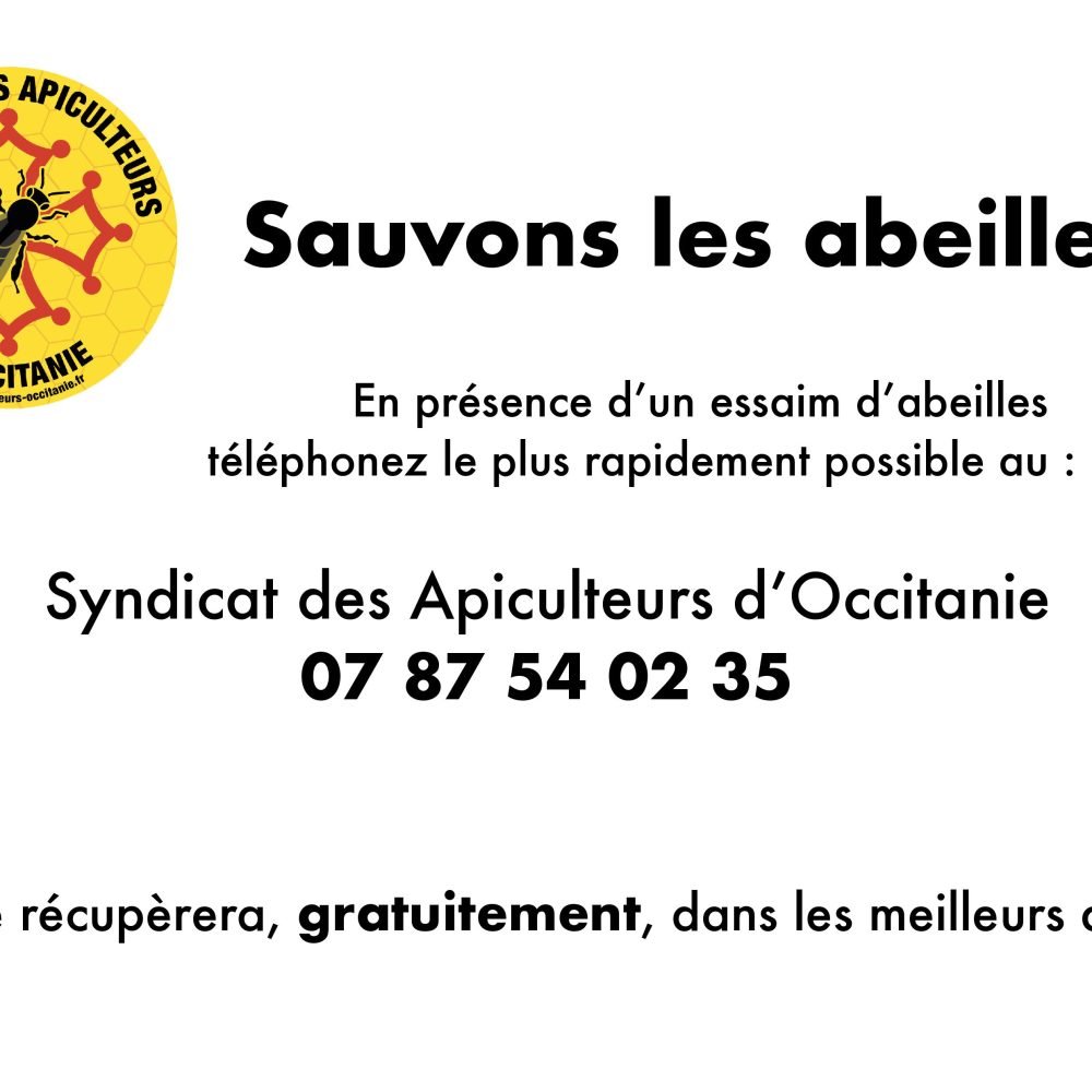 SAUVONS LES ABEILLES !
