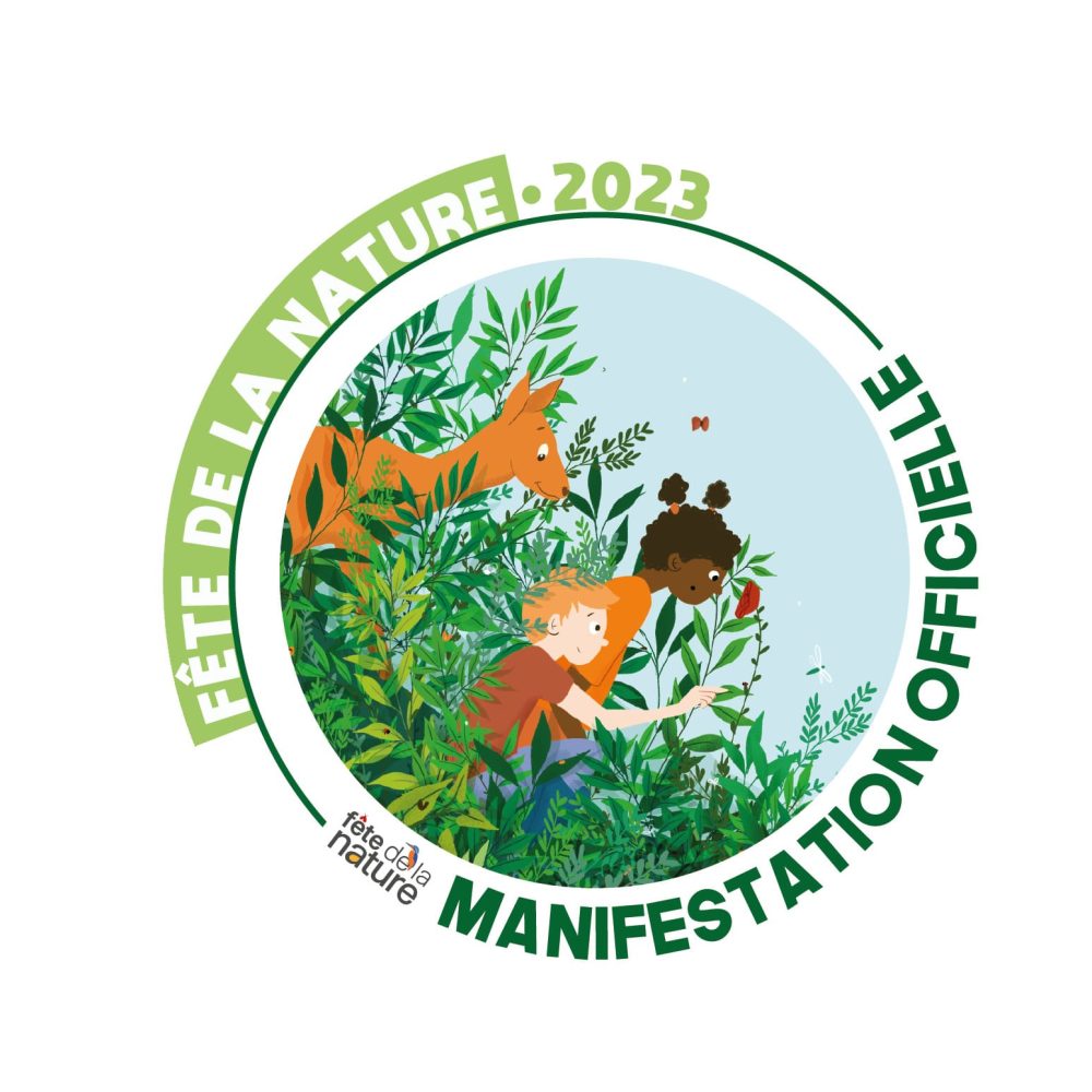 FÊTONS LA NATURE : Love story des fleurs sauvages ! Mercredi 24 mai, 14h30