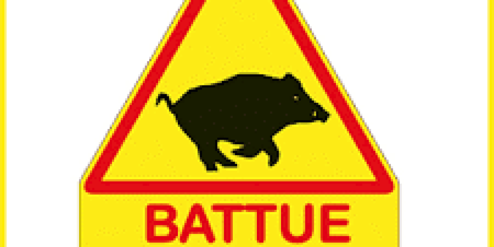 Vignette d'entrée