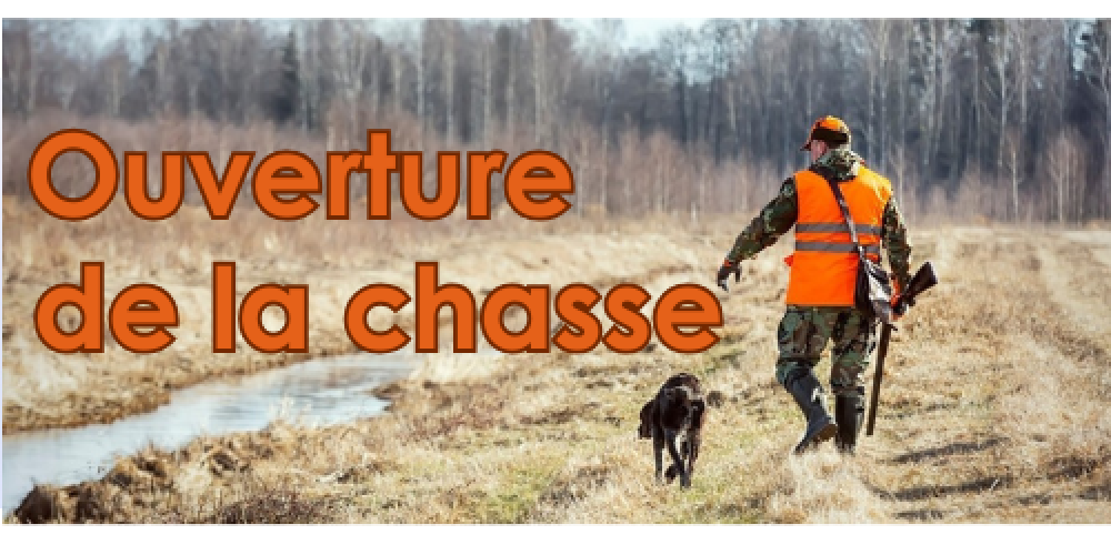 Entry Thumbnail